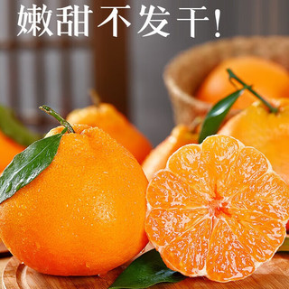 少羽 现摘现发 正宗四川春见耙耙柑 9斤彩箱 特大果80-90MM