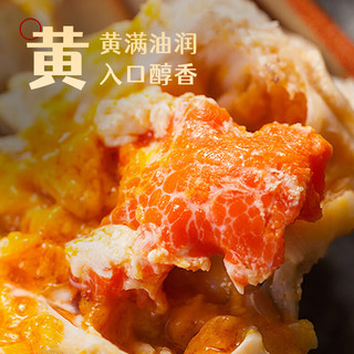 XIAN YAO 鱻谣 大闸蟹鲜活螃蟹 全母3.8-4.1两 8只装 生鲜活蟹中秋礼品礼盒现货