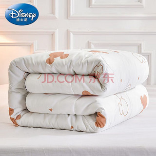 Disney 迪士尼 宝宝（Disney Baby）磨毛加厚亲肤保暖纤维被子被芯四季通用被子 200*230cm