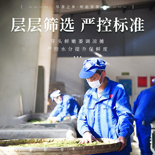 川红 春茶新茶茶叶绿茶头采雀舌礼盒100克