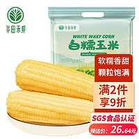 华田禾邦 非转基因 玉米 白糯玉米棒1.5~1.8KG 东北新鲜真空甜黏玉米