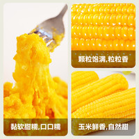 黄糯玉米段120g*8袋真空新鲜玉米小段减香嫩甜脆代餐肥非即食东北