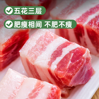 青青小厨 五花肉块1kg   冷冻去皮五花肉猪五花烤肉原料猪肉五花 猪肉生鲜