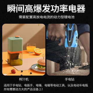 Delipow 德力普 18650锂电池 10C高倍率大电流动力型3.7V大容量2500mAh充电锂电池