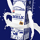 Globemilk 荷高 荷兰原装进口 3.7g优乳蛋白全脂纯牛奶 1L*6 营养早餐 送礼优选