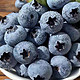 雪束 现摘新鲜蓝莓孕妇宝宝水果  精选2盒（单果15-18mm）