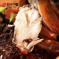 PANJINCRAB 盘锦河蟹 全母蟹 20只 1.0~1.3两/只