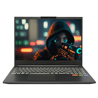 百亿补贴：FIREBAT 火影 T6A-X 16英寸游戏本（i9-12900HX、16GB、512GB、RTX4060、2.5K、240Hz）