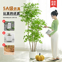 未欧 仿真植物南天竹落地盆栽室内大型仿生绿植摆件客厅轻奢装饰花假树