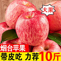 鲜级佳 山东烟台红富士苹果  富士苹果10斤装大果