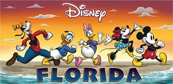 Disney 迪士尼 Collection 米奇米妮在阳光下行走沙滩巾(Florida Namedrop)