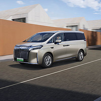 魏牌 高山 DHT PHEV  24款 行政加长版6座