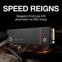 SEAGATE 希捷 FireCuda 530 2TB 固态硬盘