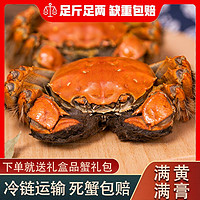 馋之鲜 兴化大闸蟹2.1-2.4两8只鲜活螃蟹大闸蟹