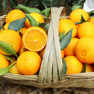 四川爱媛38号果冻橙柑橘子新鲜水果 净重4.5-5斤 单果180g+