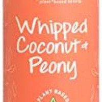Renpure 植物性*椰子和牡丹卷发 + 闪亮洗发水,16 液盎司