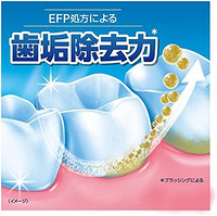 Kamutect Complete care EX plus 牙膏 口臭护理 非医疗品 预防牙周病（牙周炎、齿槽脓漏） 105克 2支