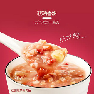 同福食品 桂圆莲子八宝粥   280g*10罐装