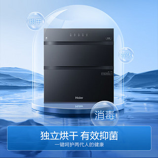 Haier 海尔 ZQD110F-EB031 嵌入式消毒柜 110L