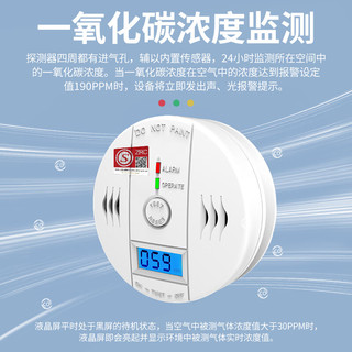  PGST 气体泄漏检测 一氧化碳探测器