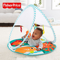 Fisher-Price 新生婴儿宝宝早教玩具0-1岁时尚轻便折叠健身器FXC15可机洗
