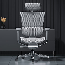 Ergonor 保友办公家具 优旗舰 2代 高端人体工学椅电脑椅家用 灰色+银白色 旗舰版