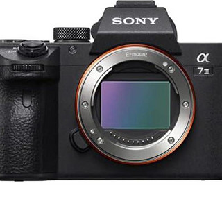 索尼（SONY）a7 III ILCE7M3/B全画幅无反光镜可换镜头相机带3英寸LCD仅机身 深红色 3