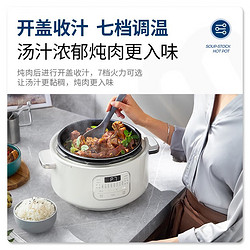 Morphy Richards 摩飞 电器（Morphyrichards）电压力锅 MR8700 椰奶白