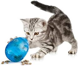 PetSafe 贝适安 猫治疗玩具(一个尺寸)(蓝色)