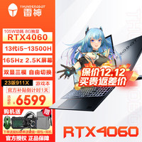 ThundeRobot/雷神 满血RTX40系显卡 游戏本笔记本电脑 无机械硬盘 2560*1440 intel i5 灰色 165Hz 16GB 1TB RTX