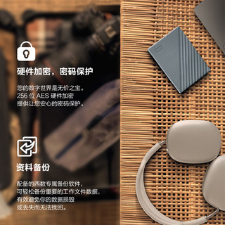  Western Digital/西部数据 移动硬盘  4TB 灰