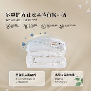 水星家纺A类抗菌蚕丝被子母被 100%蚕丝春秋四季被芯秋冬季二合一被子被褥 汐韵抗菌蚕丝冬被 200cm×230cm