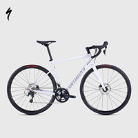 SPECIALIZED 闪电 ALLEZ E5 DISC SPORT碳纤维前叉公路自行车 鸽子灰/酷灰/青铜变色 54