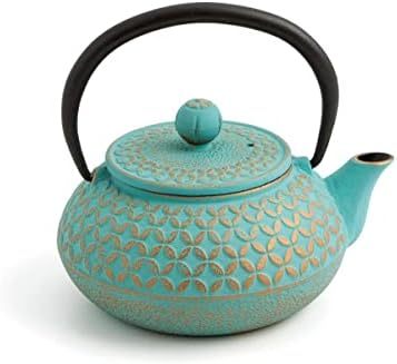 其他品牌茶具_Quid 7407046 茶壶，铁制0.5 厘升，带Inox 不锈钢过滤器 