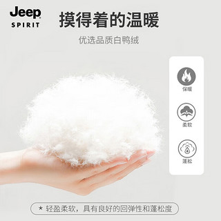 吉普（JEEP）羽绒服冬季加厚保暖舒适防寒服外套百搭潮流羽绒外套LW8802