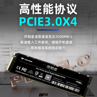 TOPMORE 达墨 七星系列 开阳星 NVMe M.2 固态硬盘 1TB（PCI-E3.0）