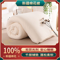 AIDLI 蓬松保暖100%新疆棉花被 5斤 200x230cm