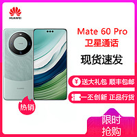 HUAWEI 华为 Mate60 Pro 12GB+512GB 雅川青