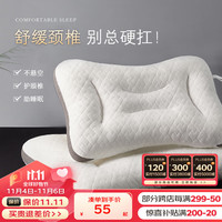 博洋(BEYOND)博洋枕头护颈椎助睡眠家用SPA枕芯单人成人防螨宿舍护颈枕 眠梦(A类-35*50cm)