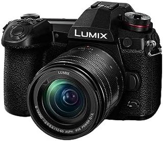 Panasonic 松下 LUMIX G9 无反相机微型四分之一,2030 万像素加 800 万像素,高分辨率