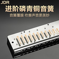 JDR/嘉德瑞 半音阶口琴专业演奏12孔c调GM-0648