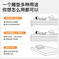 晟菲光 床垫软垫家用加厚宿舍学生铺底单人榻榻米垫子海绵垫褥子租房专用