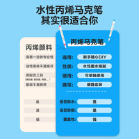 deli 得力 HM108 丙烯马克笔 12色