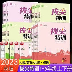 《2023秋通城学典拔尖特训 》（语文人教版 多款可选）