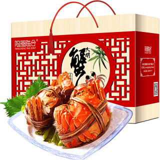 阳澄联合 全母蟹 大闸蟹 2.5-2.8两 8只 礼盒装