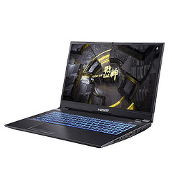 hasee神舟战神tx8r916英寸游戏笔记本电脑i913900hx16gb1tbrtx4060