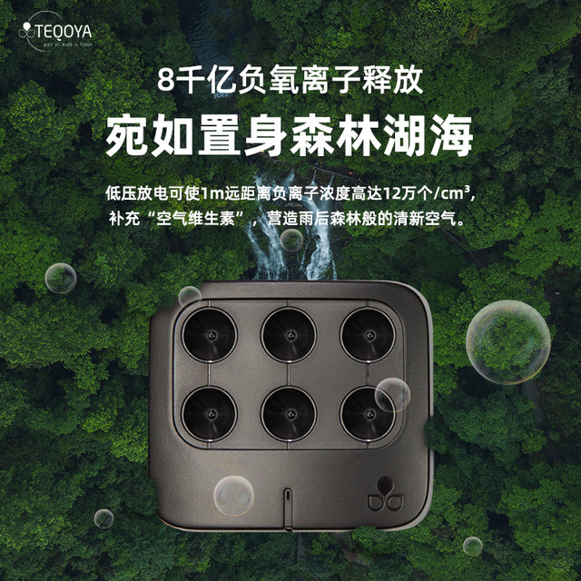 TEQOYA 得康氧 法国进口得康氧Nomad车载空气净化器负离子发生器除甲醛车用氧吧
