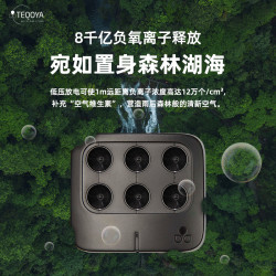 TEQOYA 得康氧 法国进口得康氧Nomad车载空气净化器负离子发生器除甲醛车用氧吧