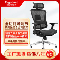 Ergojust 爱高佳 R5居家办公室电脑椅人体工学椅网面书房椅子老板椅舒适 R5黑菱网+衣架
