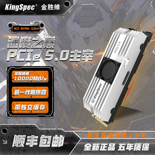 KingSpec 金胜维 1000GB SSD固态硬盘NVMe M.2接口 2280 PCIe5.0 VP101系列